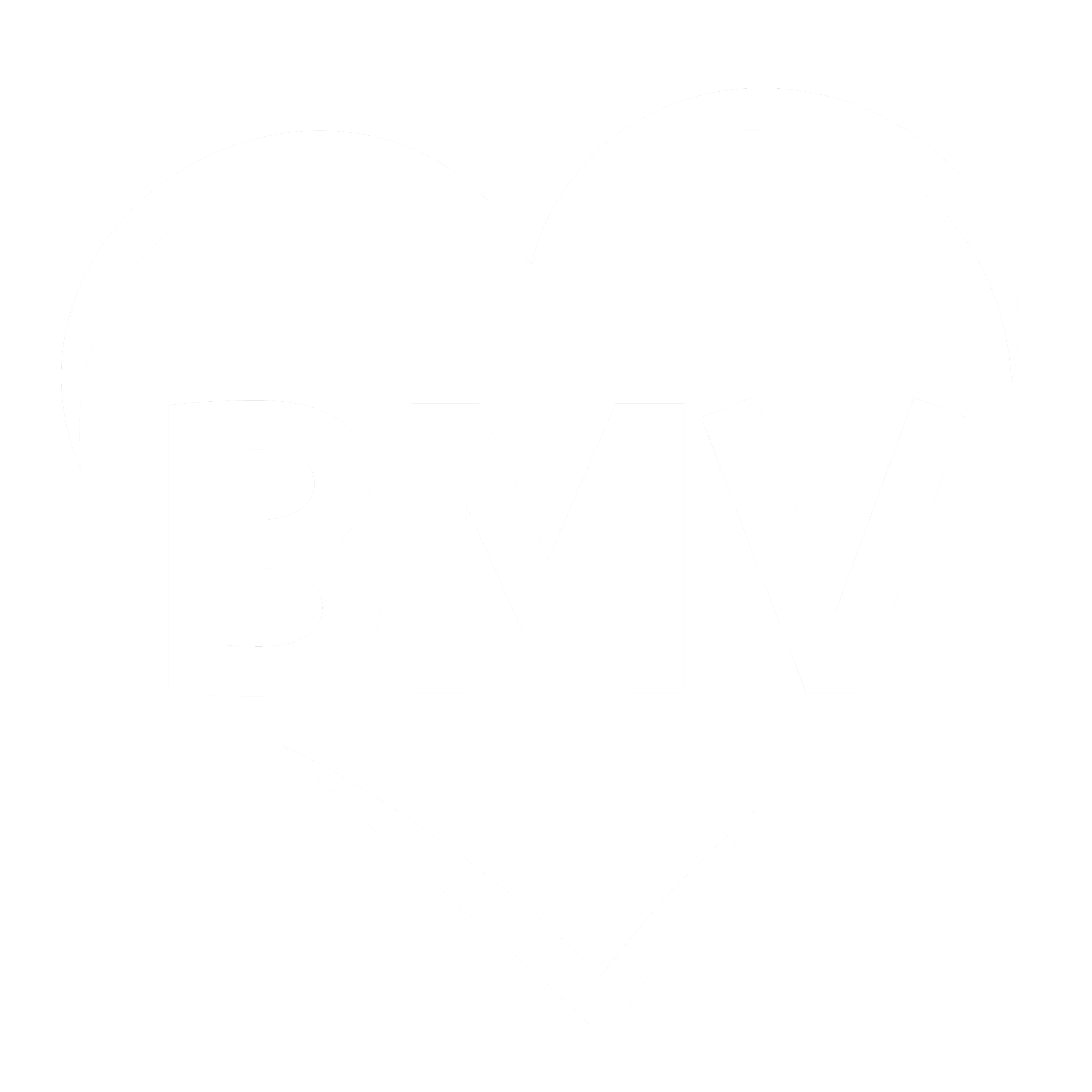 BMV_logo_secondaire